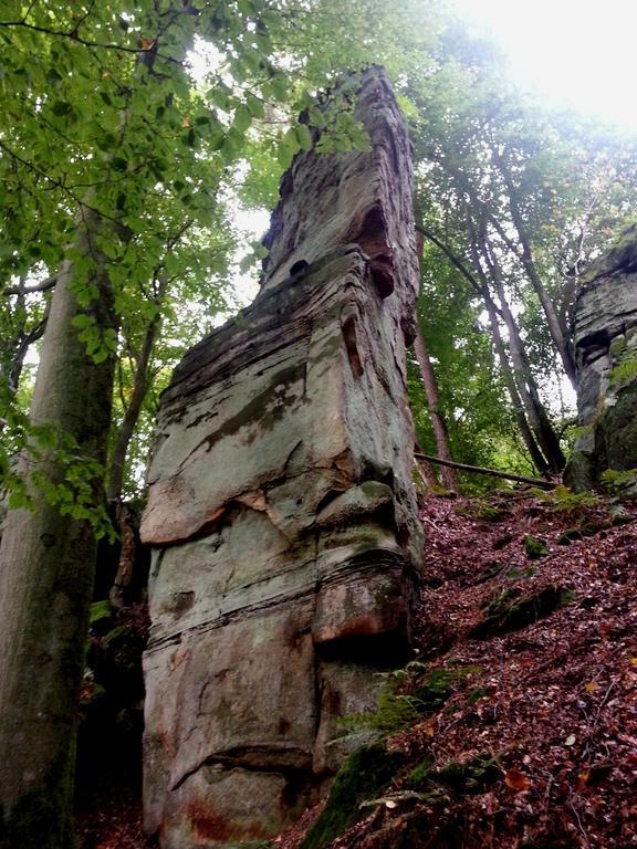 Hotel Ritschlay Bollendorf Bagian luar foto